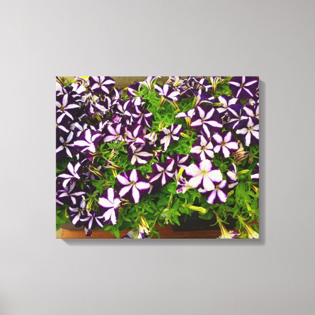 Lila Stripe Petunias Canvastryck (Framsida)