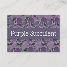 Lila Succulent