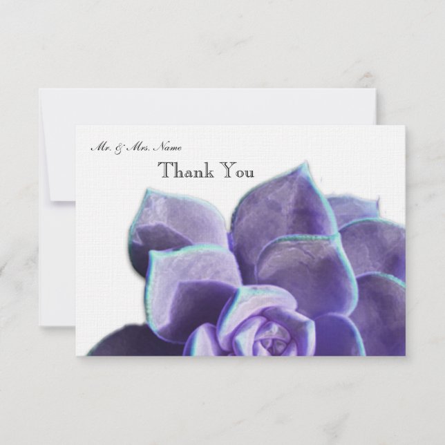 Lila suckulent tack (Framsida)