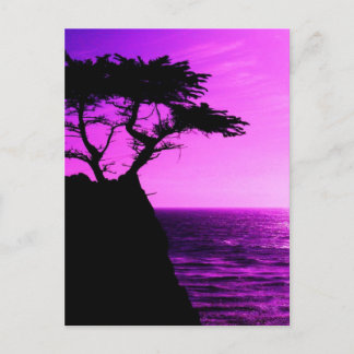 Lila Sunset Beach Träd Ocean Peace Kärlek Destiny Vykort