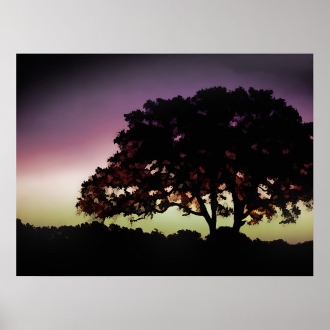 Lila Sunset och Oak Träd Silhouette Poster (Framsidan)