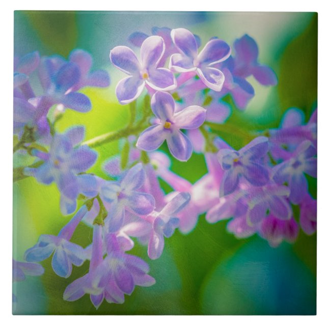 Lila Syrenblommor Kakelplatta (Framsidan)