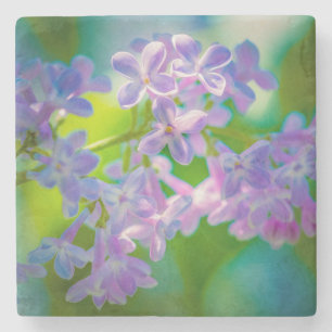 Lila Syrénblommor Stenunderlägg