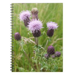 Lila Thistle bärbar dator Anteckningsbok