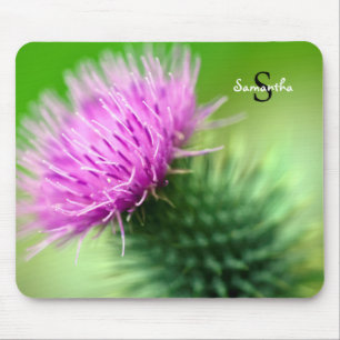 Lila Thistle-Musmatta Musmatta