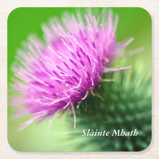 Lila Thistle Underlägg Papper Kvadrat (Framsidan)