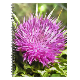Lila Thistle Wildblomme Blommigt Art Anteckningsbok