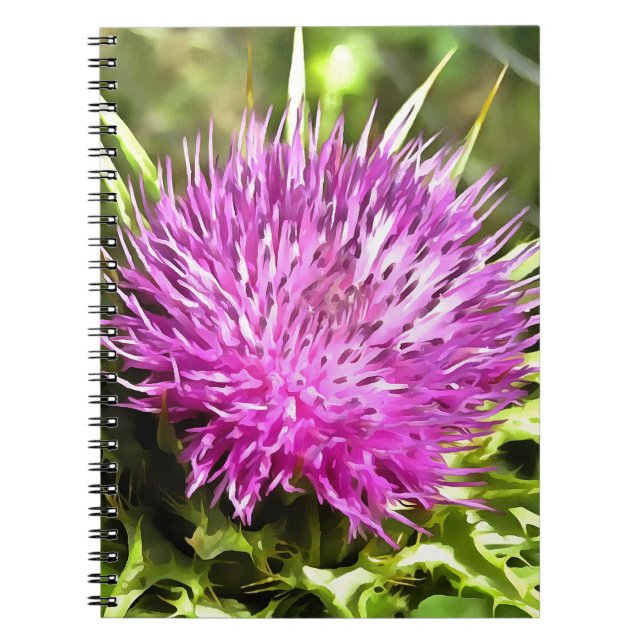 Lila Thistle Wildblomme Blommigt Art Anteckningsbok (Framsidan)