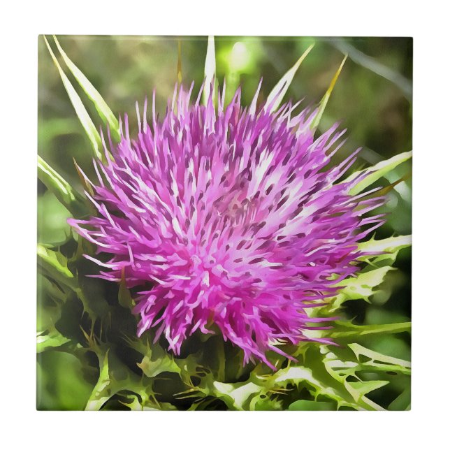 Lila Thistle Wildblomme Blommigt Art Kakelplatta (Framsidan)