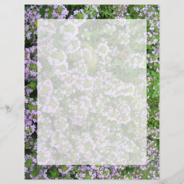 Lila Thyme (Framsida)