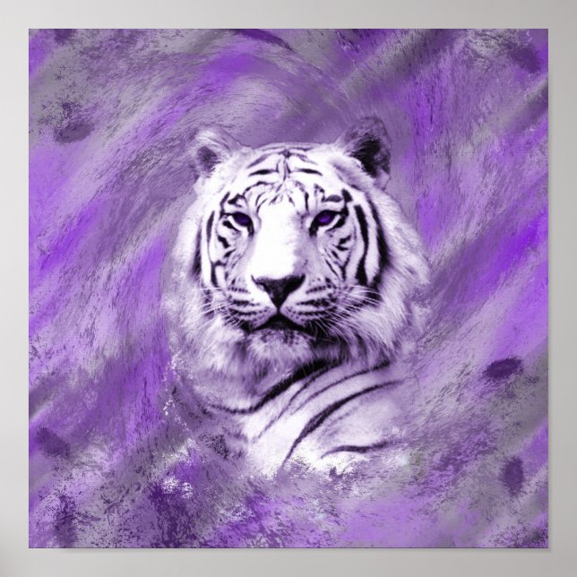 Lila Tiger Poster (Framsidan)