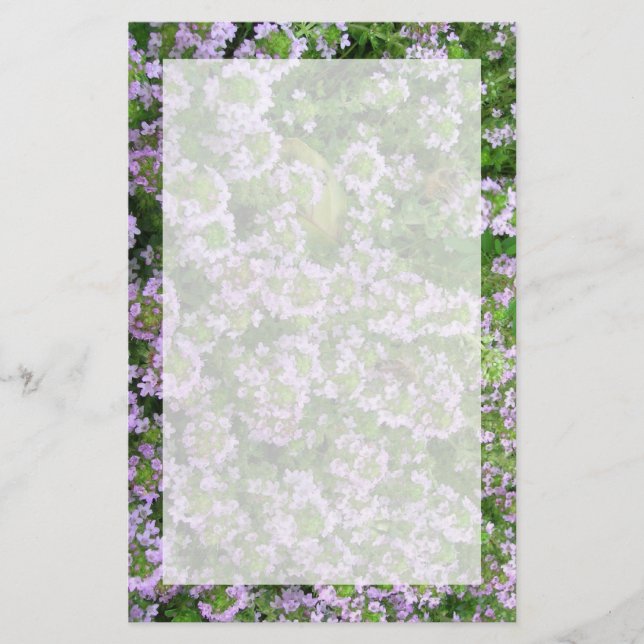 Lila Timjan Brevpapper (Framsida)