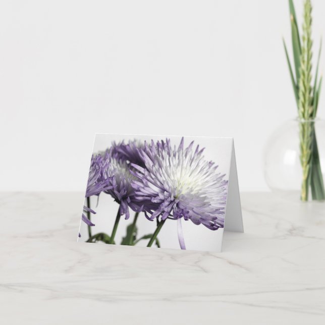Lila Tipping Spider Morsa Panorama Note Card Kort (Framsida)