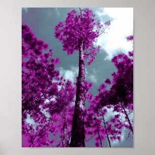 Lila Träd Poster