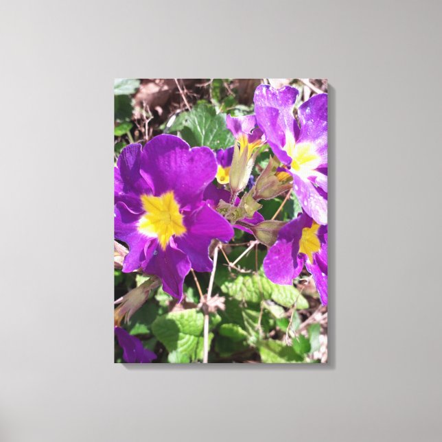 Lila trädgårdsblommor canvastryck (Framsida)