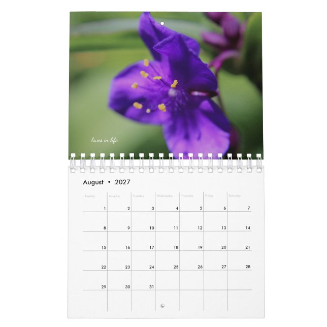 Lila Trädgårdsblommor Kalender (Aug 2027)