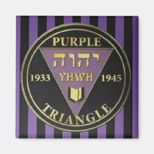 Lila Triangle Rand Magnet
