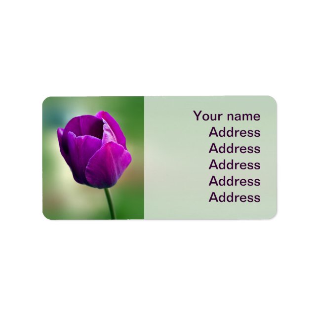 Lila Tulip Adressetikett (Framsidan)