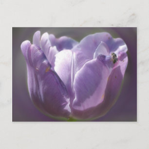 Lila Tulip-blommor och -bin Vykort