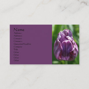 Lila Tulip Blomsterfotografi Affärskort Visitkort