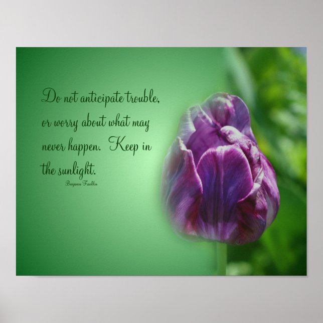 Lila Tulip Life Attitude Quote Inspirational Poster (Framsidan)