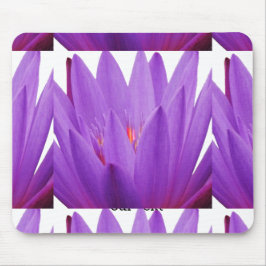 Lila Tulip Musmatta