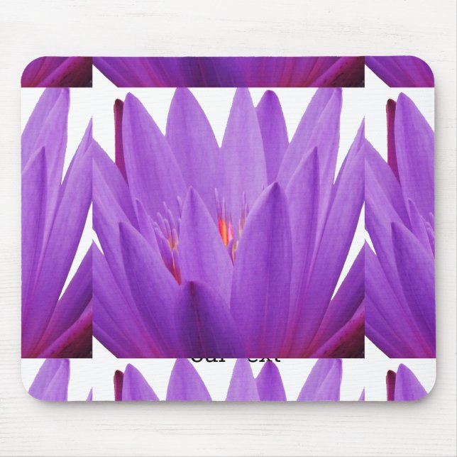 Lila Tulip Musmatta (Framsidan)