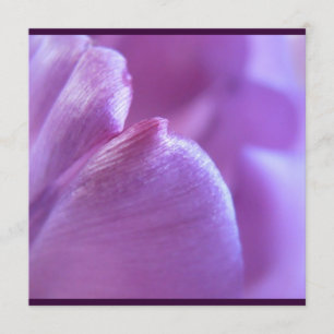 Lila Tulip Petal Inbjudan