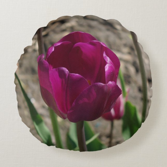 Lila Tulip runda kuddar (Framsidan)