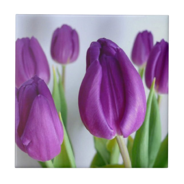 Lila Tulip Tile Kakelplatta (Framsidan)