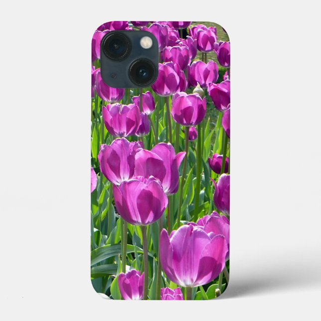 Lila Tulips (Baksida)