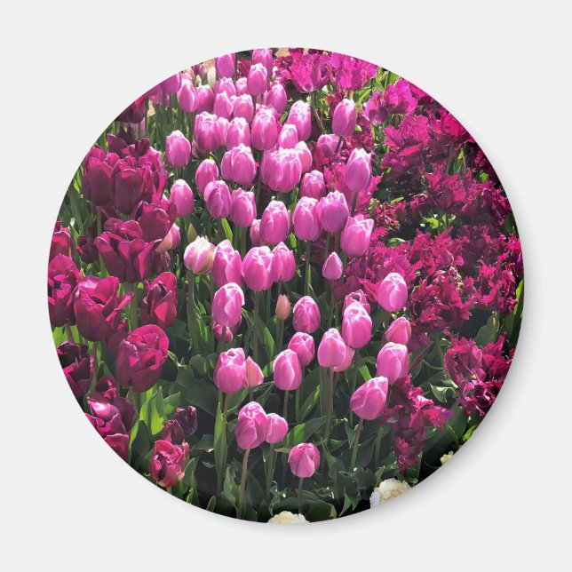 Lila Tulips Garden Bed Magnet (Framsidan)