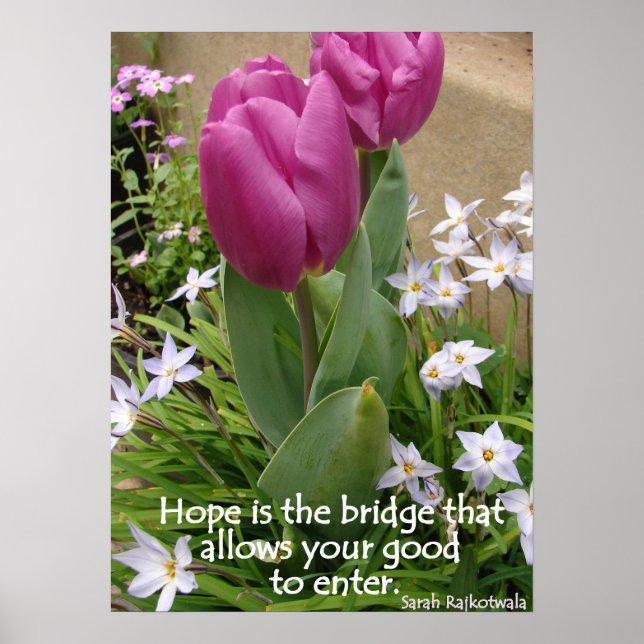 Lila Tulips Hope Blommigt Flowers Photo Poster (Framsidan)