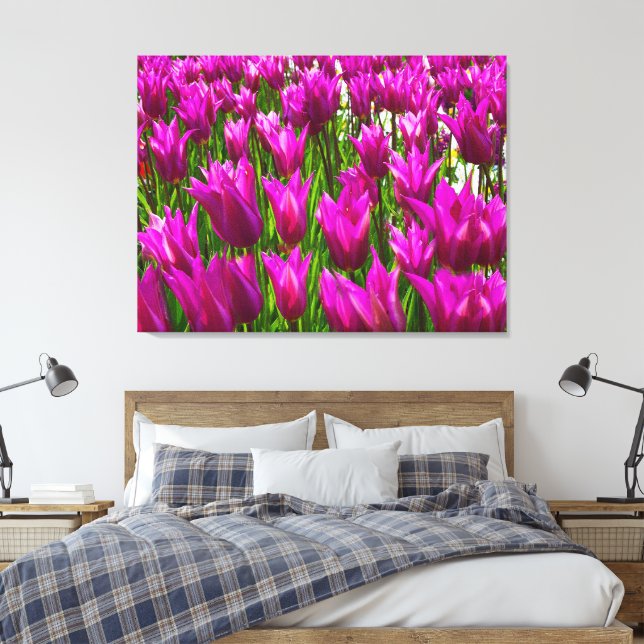Lila Tulips i Keukenhof Holland Premium Wrapped Canvastryck (Insitu (sovrum))