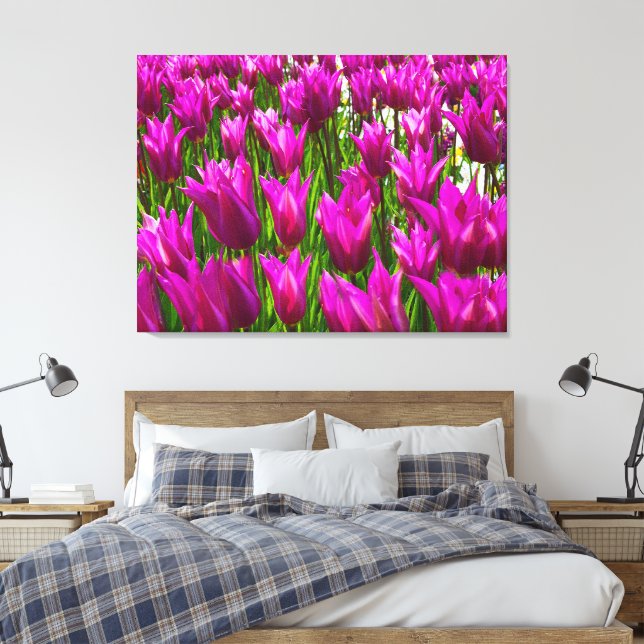 Lila Tulips i Keukenhof Holland Premium Wrapped Canvastryck (Insitu (sovrum))