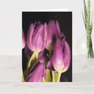 Lila Tulips-kort Helgkort