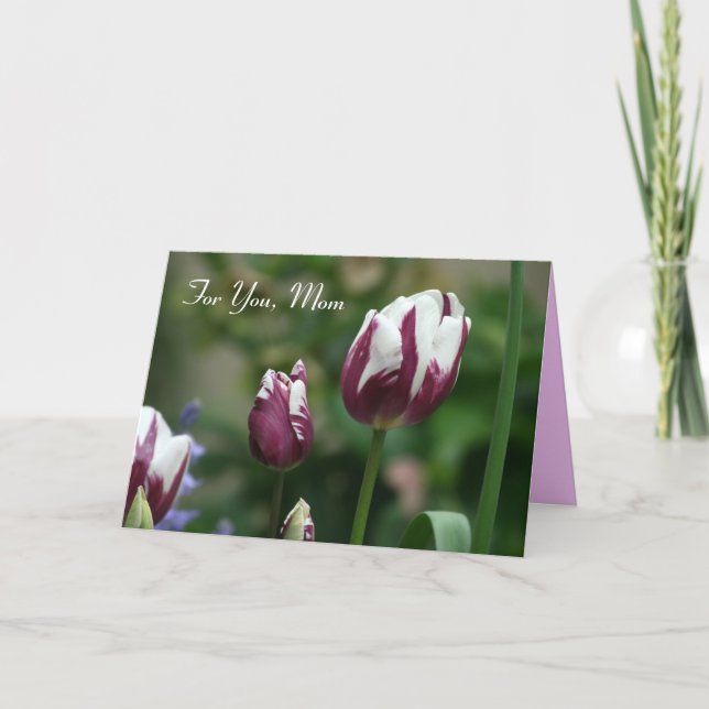Lila Tulips Mamma-dagskort Kort (Framsida)