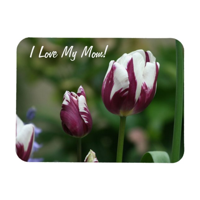Lila Tulips Mamma Magnet (Horisontell)