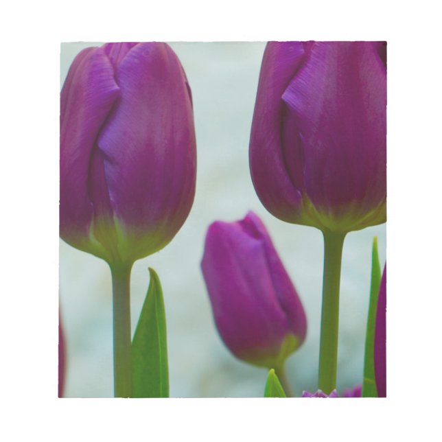 Lila Tulips Note Pad Anteckningsblock (Framsida)