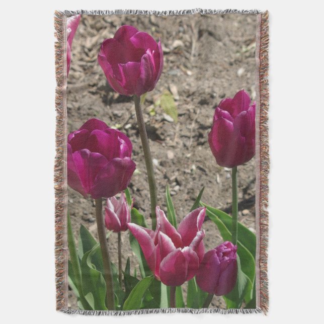 Lila Tulips, vävda Filt (Framsidan Vertikal)