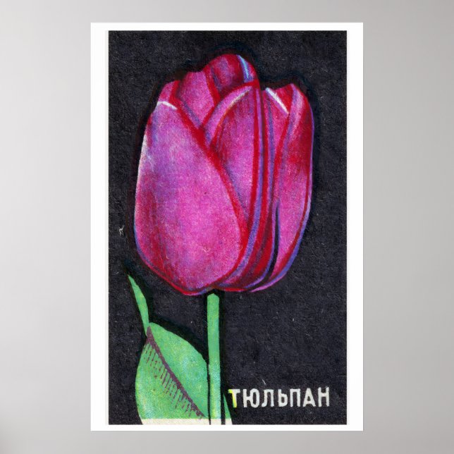 Lila tulpan - Tändsticksasktryck - Estetisk väggko Poster (Framsidan)