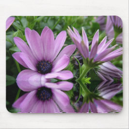 lila tusenskönor blommor musmatta
