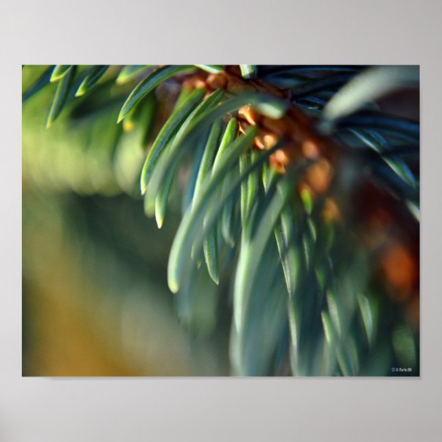 Lila Twillingar Framework Fine Art Painting-ETSY Poster (Framsidan)