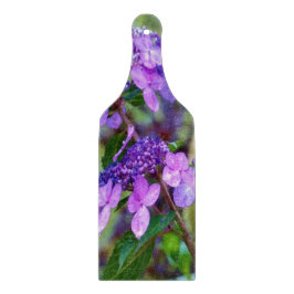 Lila Twist and Shout Hortensia Blomma