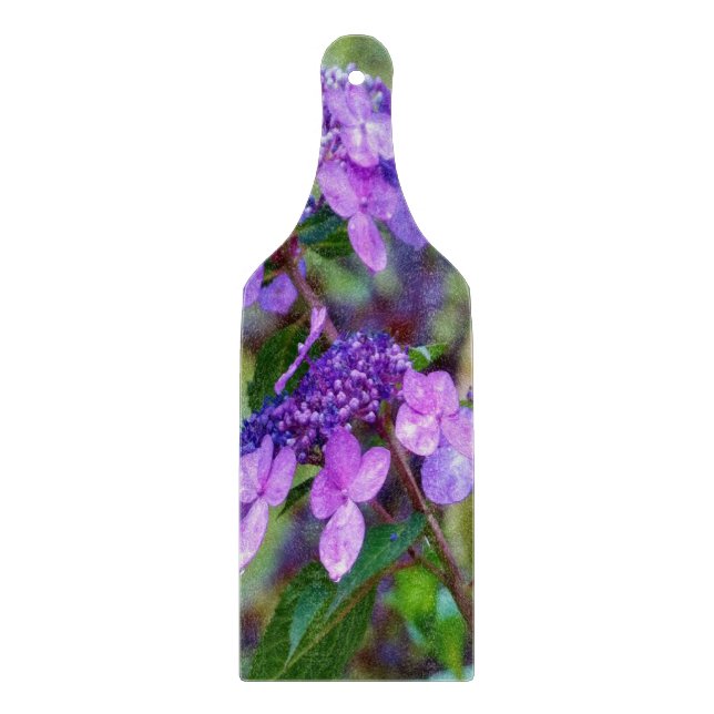 Lila Twist and Shout Hortensia Blomma (Framsidan)