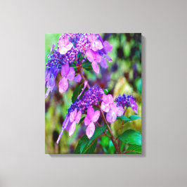 Lila Twist and Shout Hortensia Blomma Canvastryck
