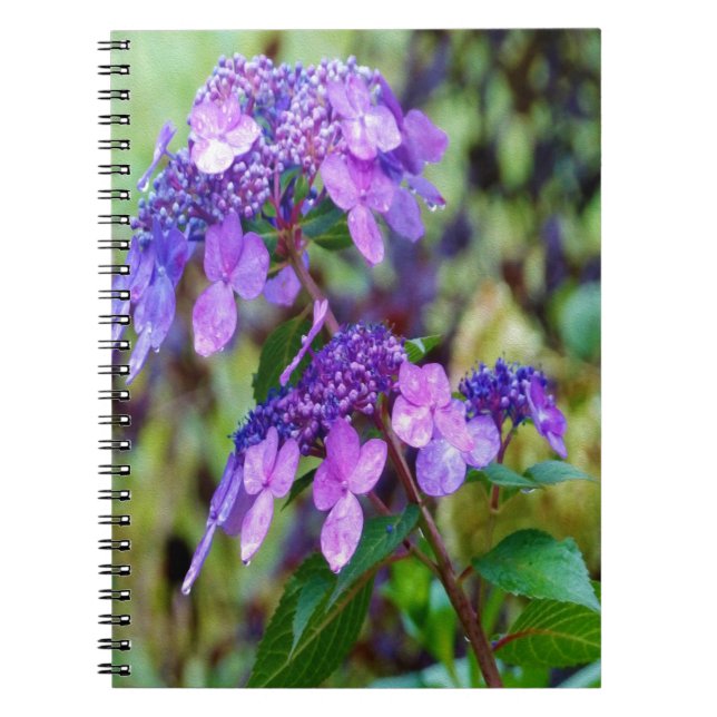 Lila Twist and Shout Hydrangea Blomma Anteckningsbok (Framsidan)