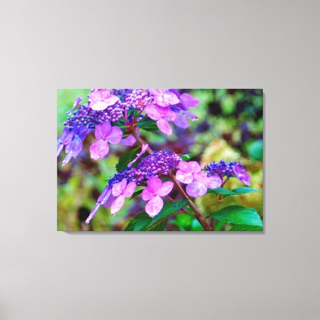Lila Twist and Shout Hydrangea Blomma Canvastryck (Framsida)