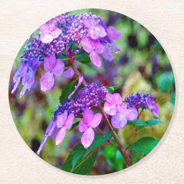 Lila Twist and Shout Hydrangea Blomma Underlägg Papper Rund (Framsidan)