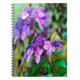 Lila Twist och Shout Hydrangea Flower Anteckningsbok